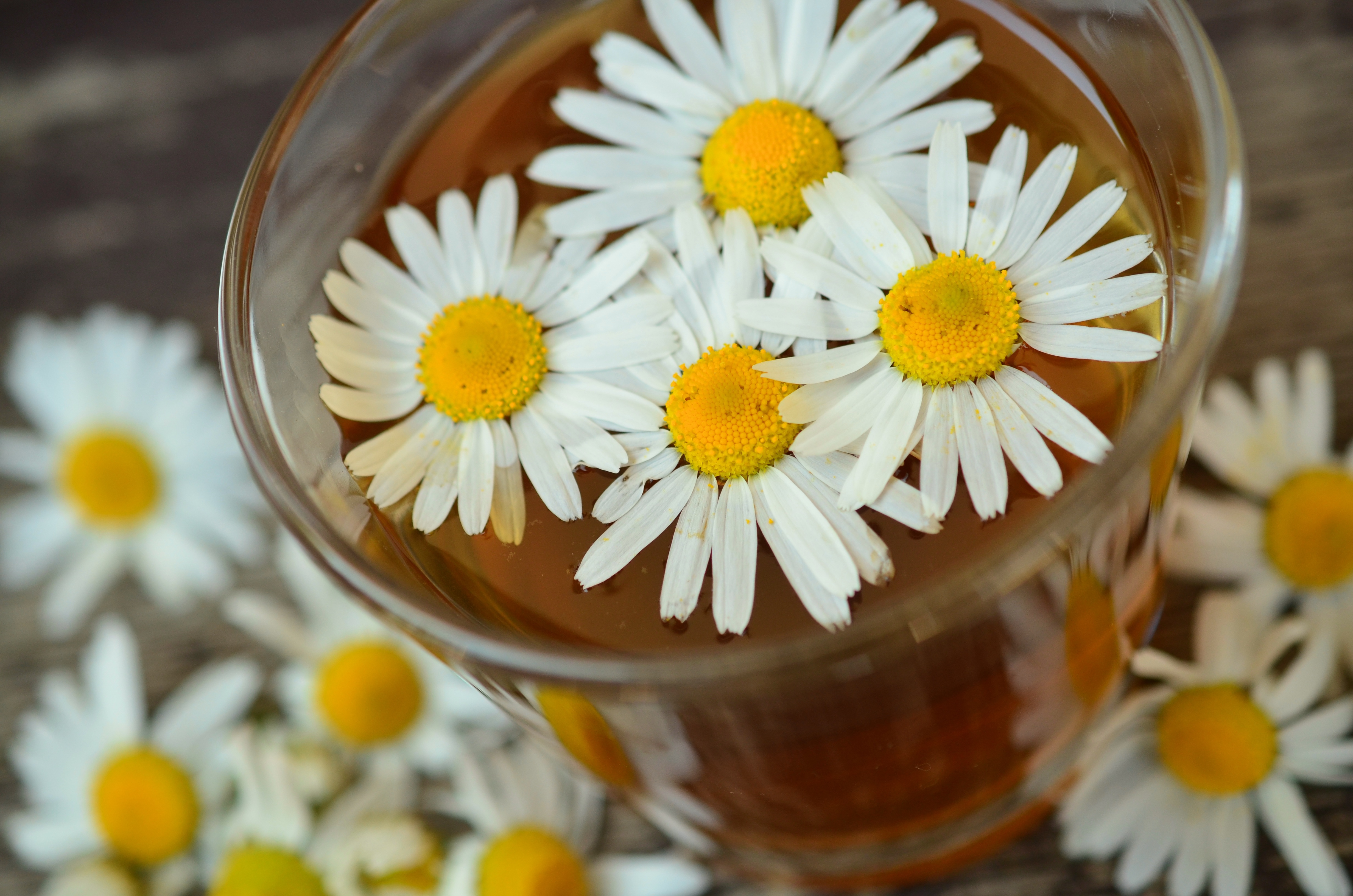 Flower Essence Therapy